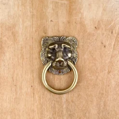 Poignée de meuble tête de lion en bronze