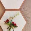 Presse à fleurs et herbes micro-ondes