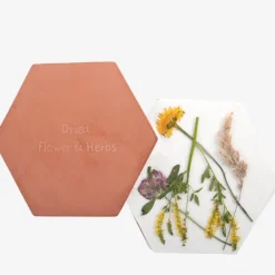 Presse à fleurs et herbes micro-ondes
