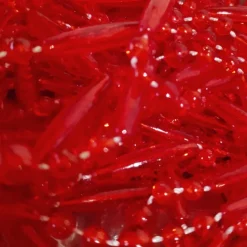 Rideau Mireille rouge