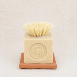 Savon-brosse