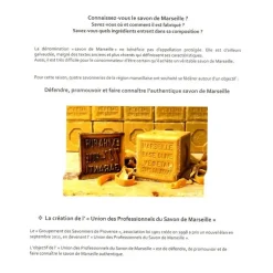 Savon de Marseille à l'huile végétale 400 g