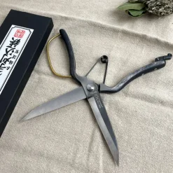 Sécateur à buis japonais