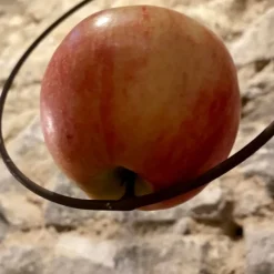 Support à pommes pour oiseaux