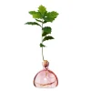 Vase à gland